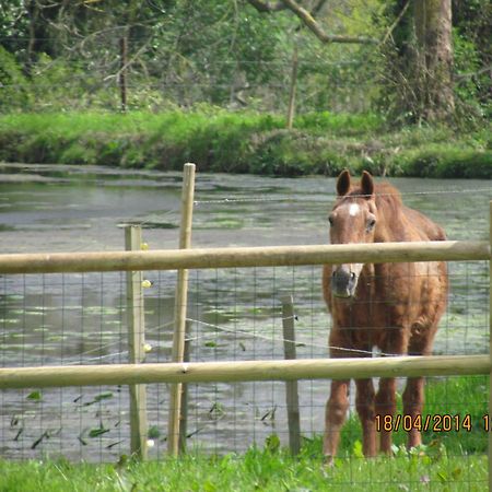 L'Orangerie Du Grand Jardin Villa Conde-sur-Seulles ภายนอก รูปภาพ